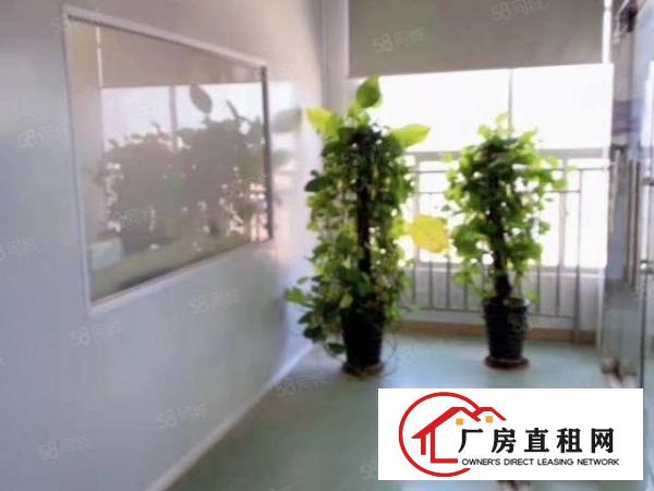  长安镇沙头社区楼上整层2200平办公室装修，水电齐全可办环评