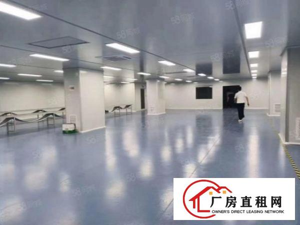  沙头社区现有无尘车间1000平方厂房出租带精装修水电齐全