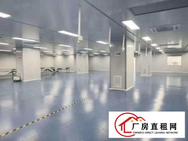  沙头社区现有无尘车间1000平方厂房出租带精装修水电齐全