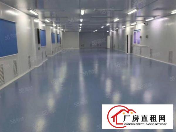  沙头社区现有无尘车间1000平方厂房出租带精装修水电齐全