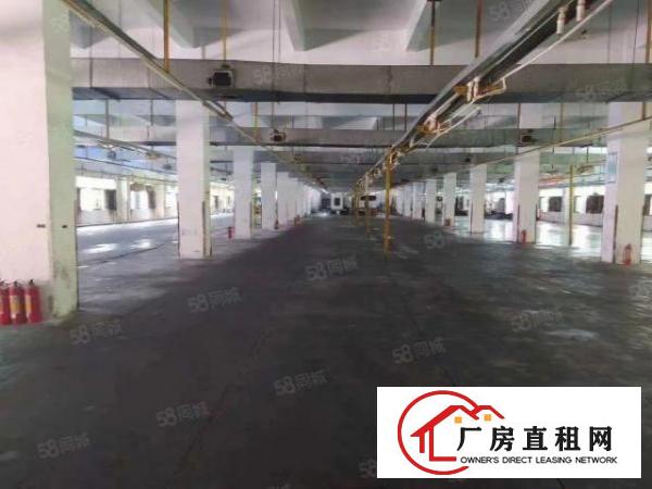 长安沿江高速旁独院厂房13F，单层4380工业用地拎包