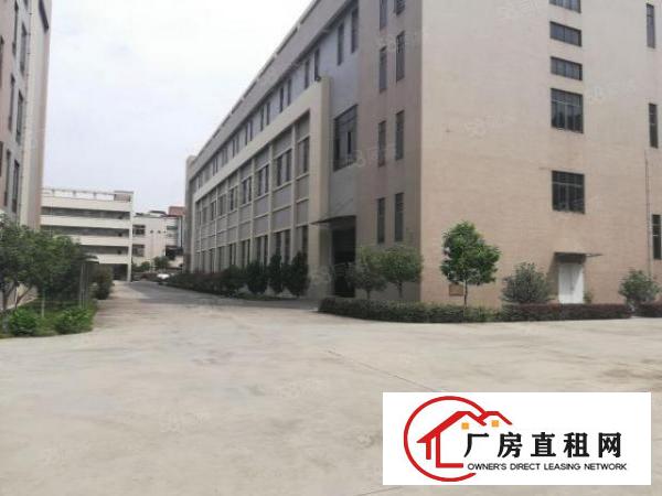  长安上沙楼上1500平原房东豪华精装修厂房出租分租