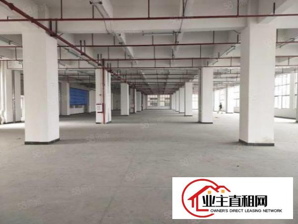  乌沙新安大桥一公里全新原房东重工厂房大小面积可分