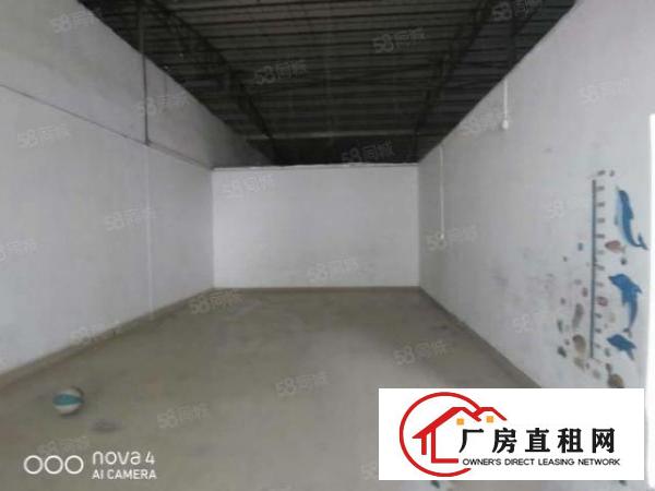  厦岗新出单一层厂房480平带装修厂房出租