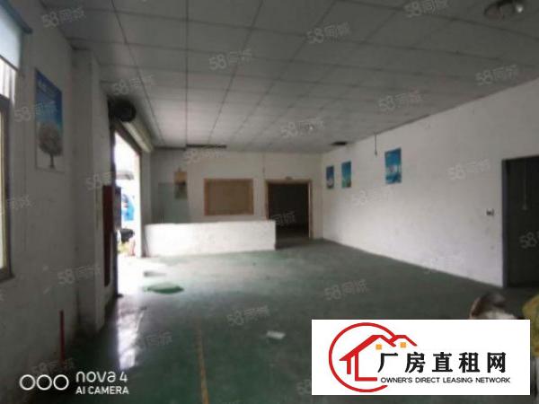  厦岗新出单一层厂房480平带装修厂房出租