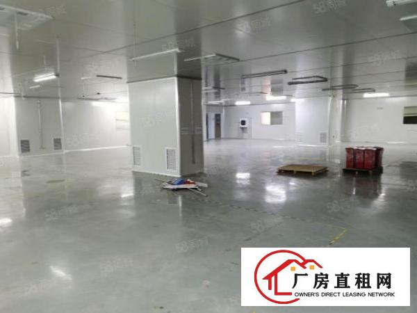  沙头社区刚空出楼上1000平方厂房出租带精装修水电齐全