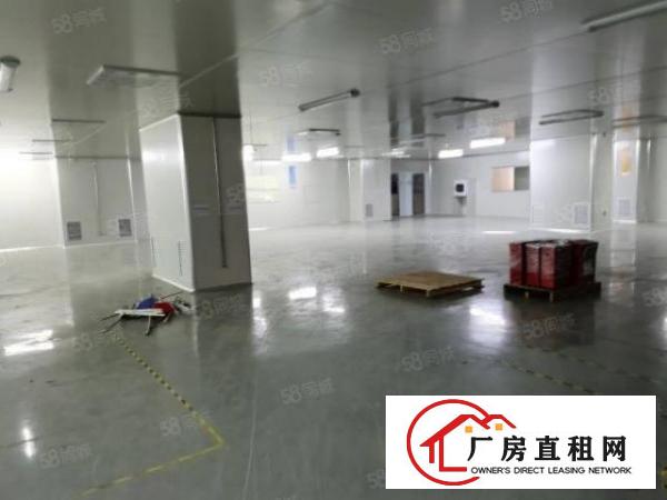  沙头社区刚空出楼上1000平方厂房出租带精装修水电齐全