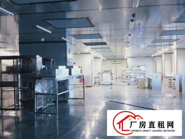  长安镇厦岗沿江高速口新出一楼千级无尘车间2000，无需转让费