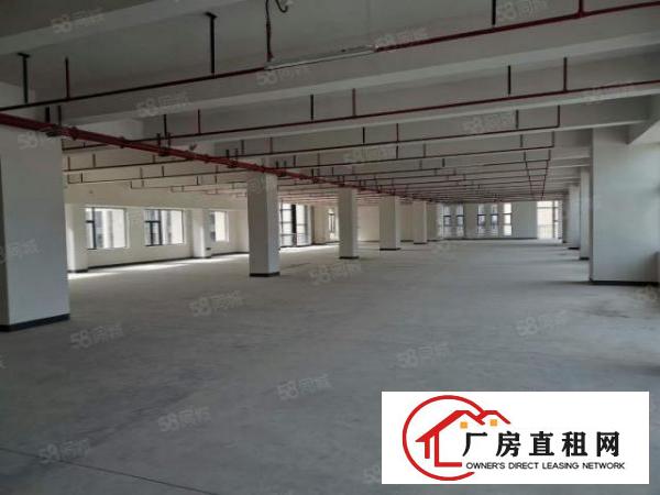  长安镇沙头28000平工业园厂房出租电商仓库出租一楼楼上分租