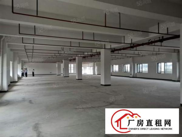  长安镇沙头28000平工业园厂房出租电商仓库出租一楼楼上分租