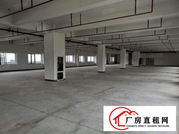  长安镇沙头28000平工业园厂房出租电商仓库出租一楼楼上分租