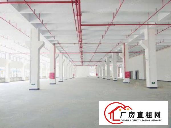  长安镇厦边全新高新科技园35000平方火爆招租可分租
