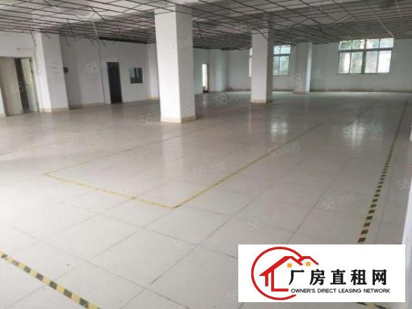 锦厦新出原房东厂房独门独院2000平带环评证厂房招租