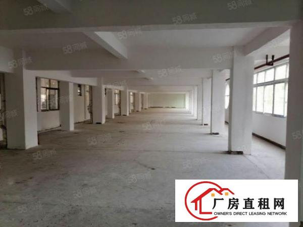 锦厦新出原房东厂房独门独院2000平带环评证厂房招租