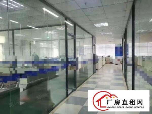  长安沙头社新出标准厂房一楼整层2500平方3楼1250平