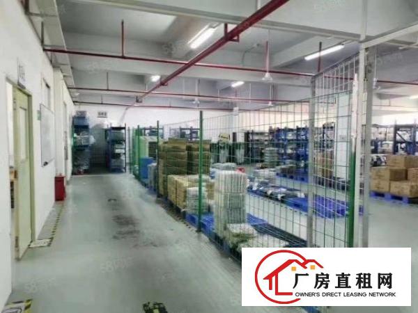  长安沙头社新出标准厂房一楼整层2500平方3楼1250平