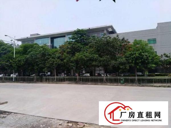  长安沙头社新出标准厂房一楼整层2500平方3楼1250平