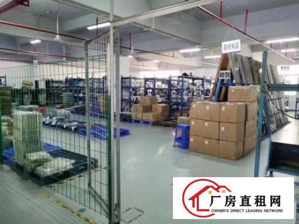  长安沙头社新出标准厂房一楼整层2500平方3楼1250平