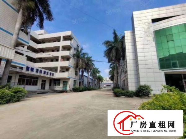  长安镇宵边振安路边单一层钢构17000平，可分租