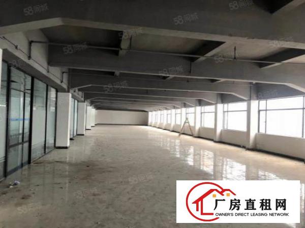  长安新盘沙头南区新出隔壁一栋三层可商业，可工业，餐饮快递都可