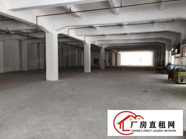  长安新盘沙头南区新出隔壁一栋三层可商业，可工业，餐饮快递都可
