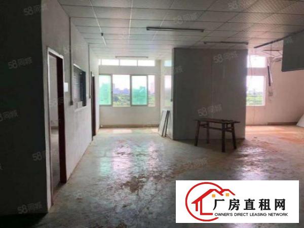  长安新盘沙头南区新出隔壁一栋三层可商业，可工业，餐饮快递都可