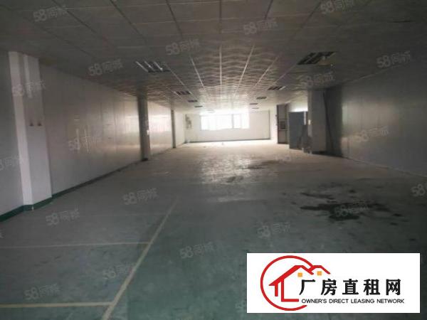  长安镇沙头社区新出二三楼3500平方厂房出租全新地坪漆