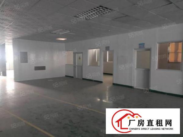 长安镇沙头社区新出二三楼3500平方厂房出租全新地坪漆