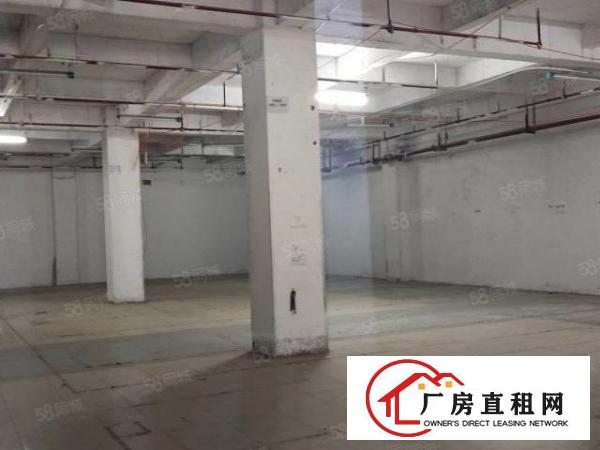  长安新出楼上950平方带消防喷淋厂房（可分租）