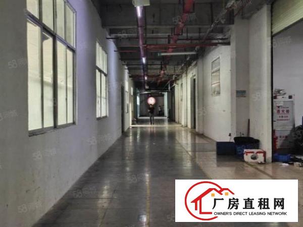  长安新出楼上950平方带消防喷淋厂房（可分租）