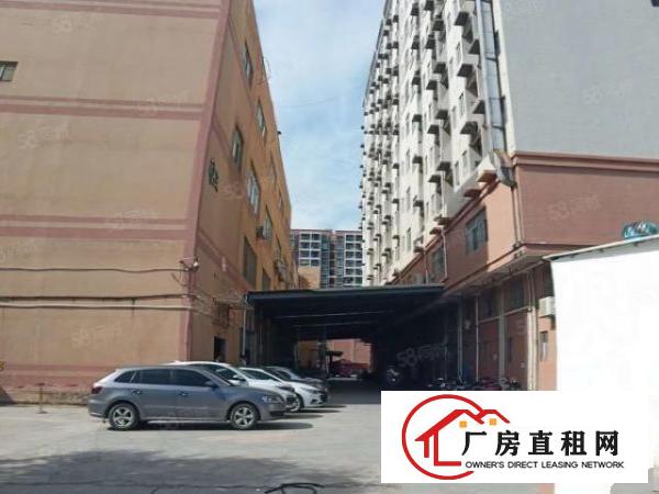  长安新出楼上950平方带消防喷淋厂房（可分租）
