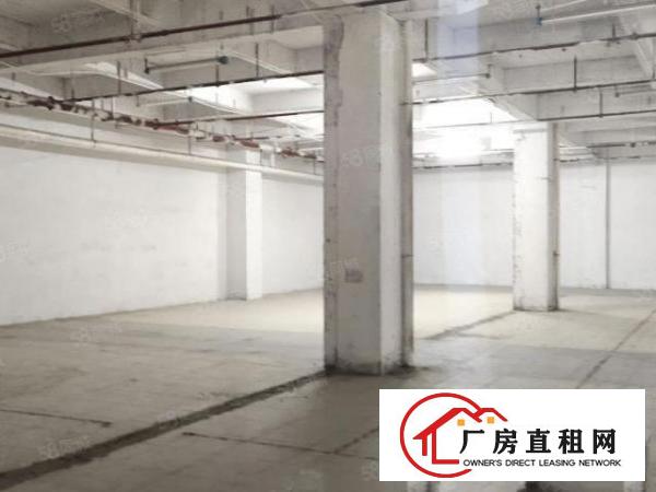  长安新出楼上950平方带消防喷淋厂房（可分租）
