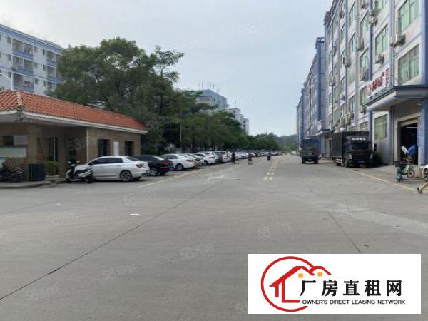  凤岗金凤凰工业园2万平厂房出租精装修一楼仓房300平起分租