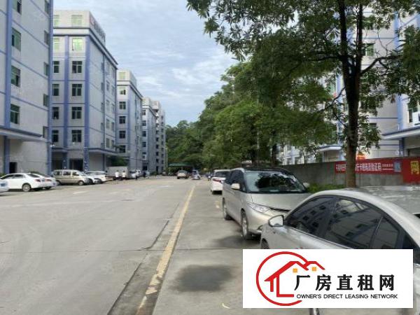  凤岗金凤凰工业园2万平厂房出租精装修一楼仓房300平起分租