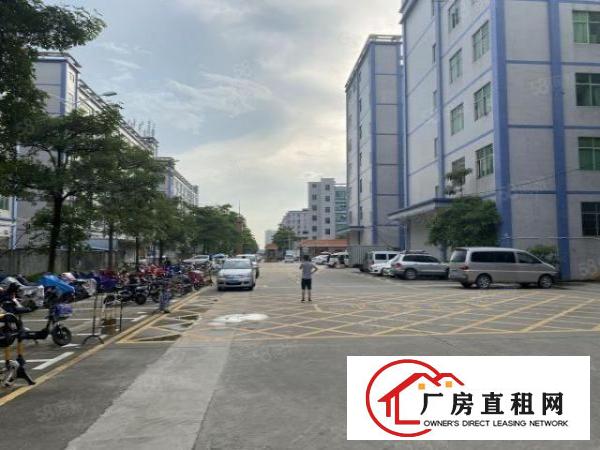  凤岗金凤凰工业园2万平厂房出租精装修一楼仓房300平起分租