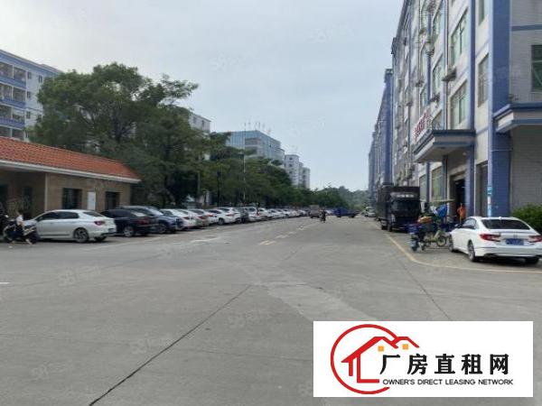  凤岗金凤凰工业园2万平厂房出租精装修一楼仓房300平起分租