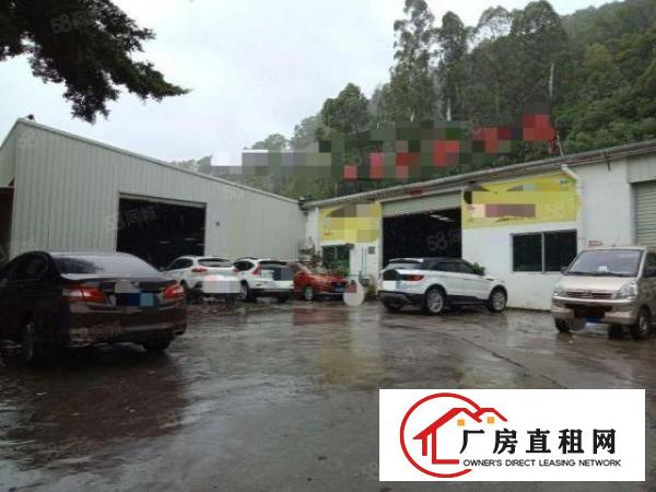 拎包入住！厦岗新出钢构2580平方独院厂房出租