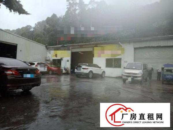  拎包入住！厦岗新出钢构2580平方独院厂房出租