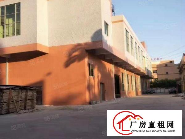  长安镇沙头两层红本独院厂房8900平方火爆招租无公摊可分租