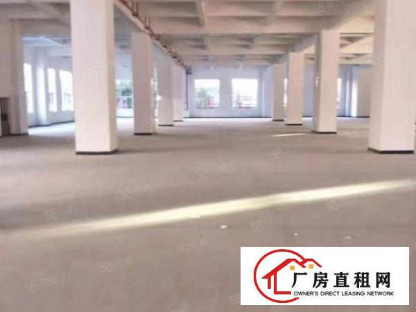  长安镇沙头两层红本独院厂房8900平方火爆招租无公摊可分租