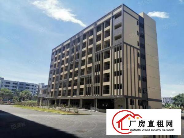  长安上沙新出6200平整层楼上工业园红本厂房出租仓库出租可分