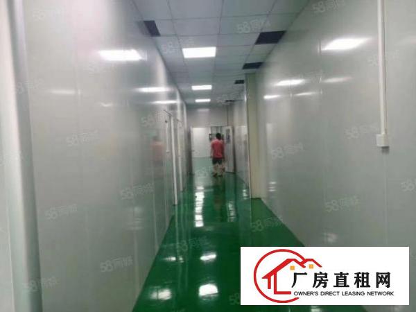  厦边工业园空出楼上600平方。带全新地坪漆，吊顶，水电齐全