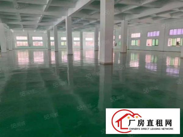  新出一楼750平方，现成办公室装修