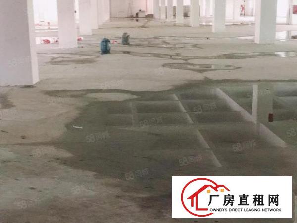  长安镇靠近深圳新出独门独院厂房五百至二千平米大小面积分租