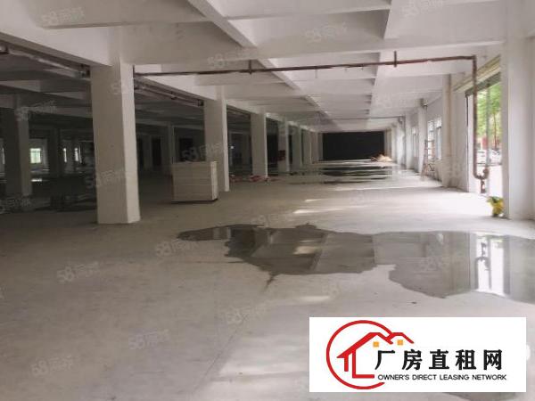 长安镇靠近深圳新出独门独院厂房五百至二千平米大小面积分租
