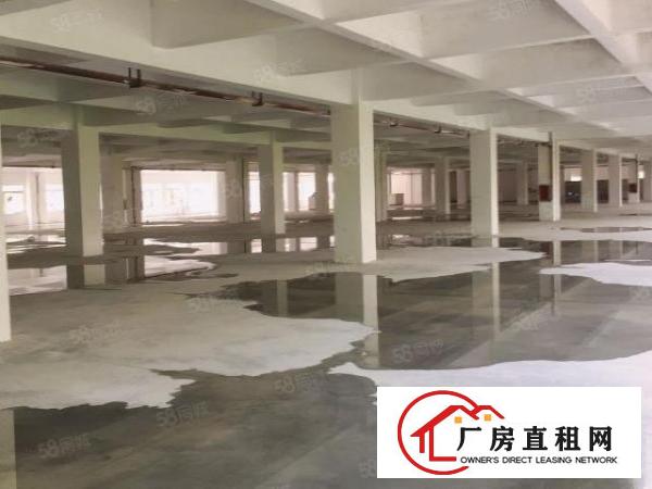  长安镇靠近深圳新出独门独院厂房五百至二千平米大小面积分租