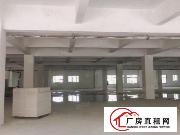  长安镇靠近深圳新出独门独院厂房五百至二千平米大小面积分租