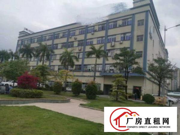  急长安沙头厂房出租现成带装修水电到位0成本入驻厂房分租