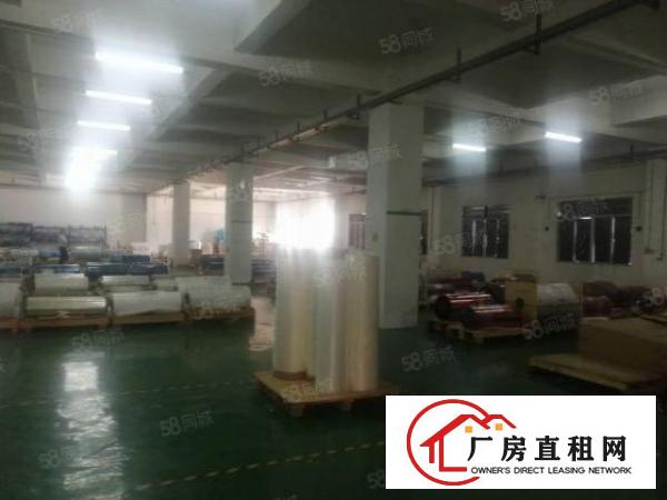  急长安沙头厂房出租现成带装修水电到位0成本入驻厂房分租