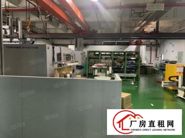  长安沙头社区南区新出一楼厂房带豪华装修2500平方。